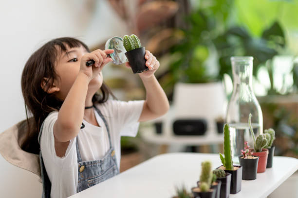 Montessori Approach